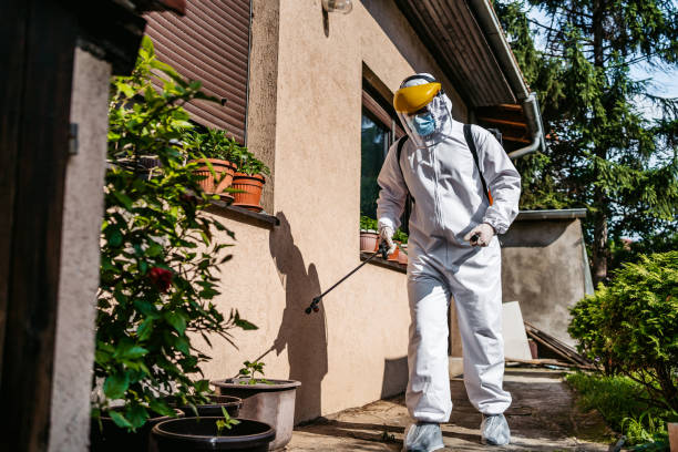 Best Flea Control Services  in Colton, CA