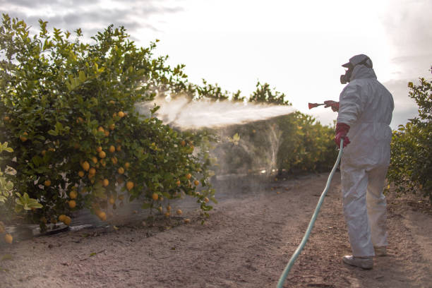 Best Best Pest Control Companies  in Colton, CA