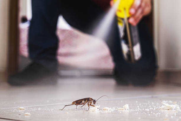Wildlife Control Services in Colton, CA