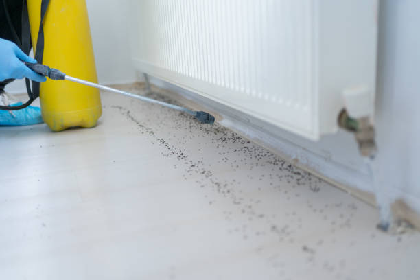 Colton, CA Pest Control Company